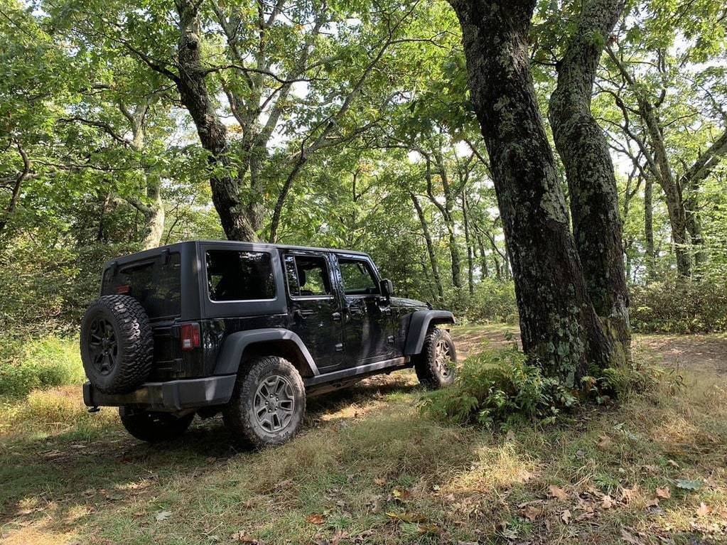 Tendances actuelles dans le marché des SUV de luxe